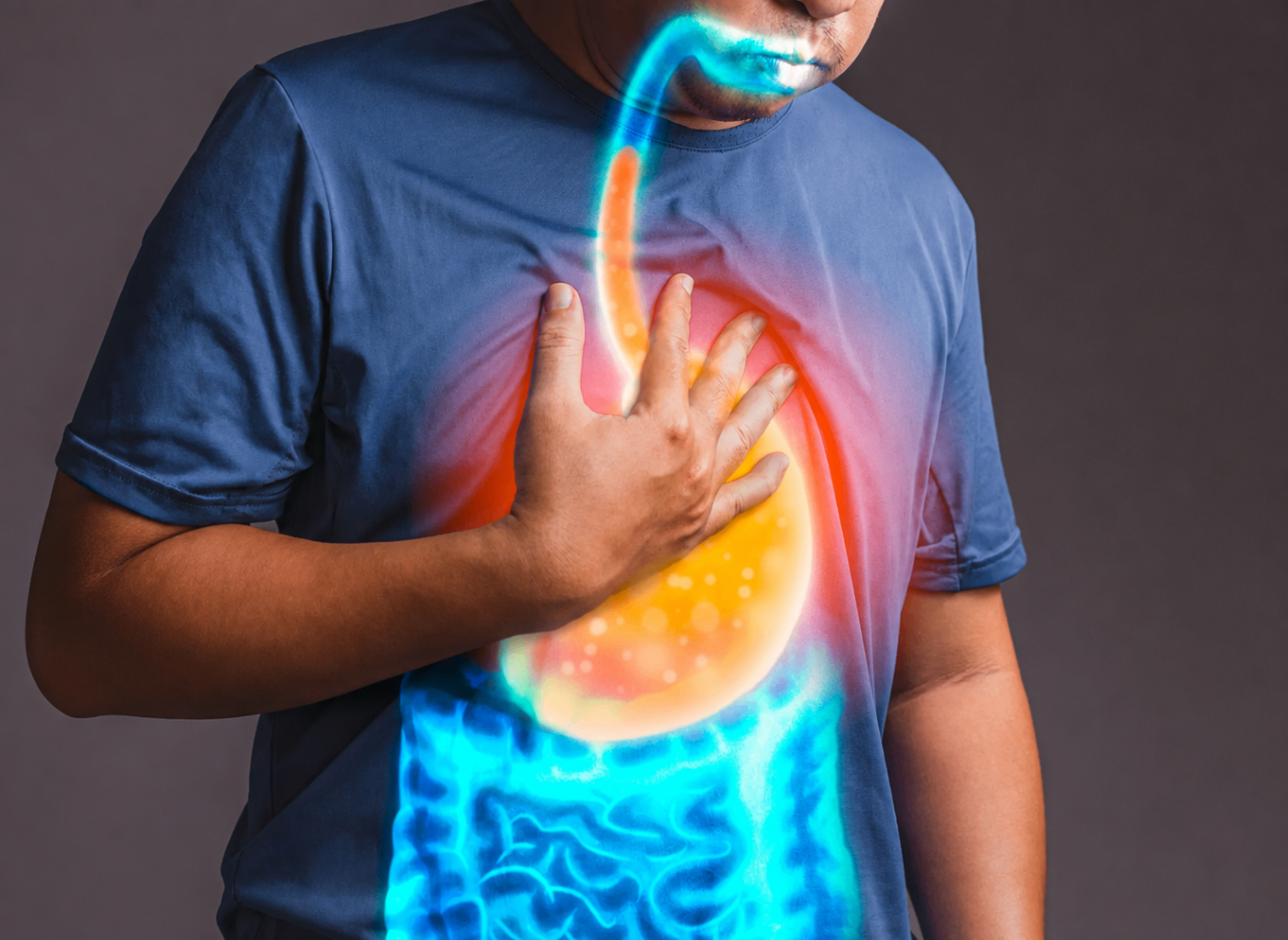 Medical illustration of the digestive tract